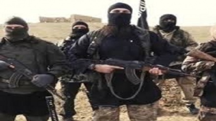 Terrorismo, va a processo la 'foreign fighter' italiana: combatteva per Daesh 