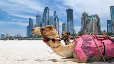 Turisti del vaccino covid in Arabia Saudita ed Emirati 