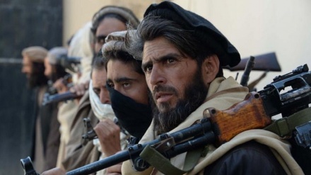 阿富汗北部和东部发生恐怖主义爆炸