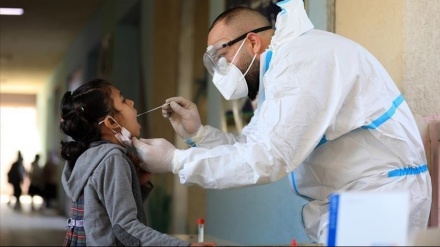 加沙感染新冠病例最新统计