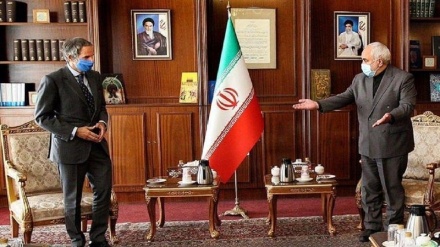 Canciller iraní y jefe de la AIEA discuten la cooperación bilateral