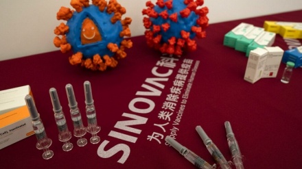 科兴冠病疫苗获中国批准附条件上市