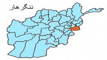 کشته و زخمی شدن ۲۸ طالب مسلح در ولایت ننگرهار