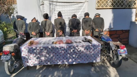 بازداشت هفت طالب در ولایت لغمان + صوت