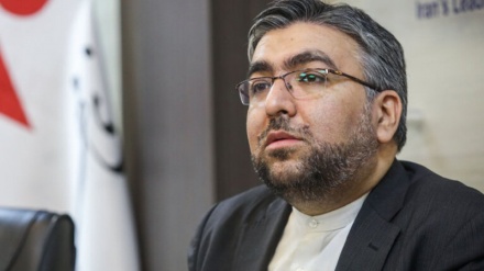 阿姆伊：美国不是《伊核协议》成员，无法对该协议做决定