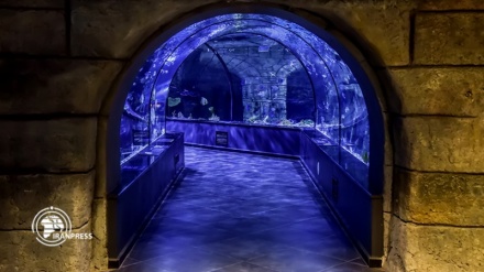 (FOTO) Acquario di Anzali, il più grande dell'Iran - 2