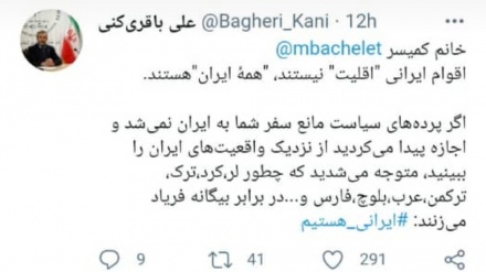 巴格里·卡尼对联合国人权事务专员做出回应：伊朗各族不是少数族裔