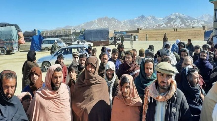 اعتصاب رانندگان افغان در اعتراض به اخاذی پولیس در شاهراه کابل- قندهار