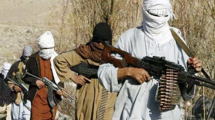 متهم شدن طالبان به آزار کودکان در صفوف جنگ
