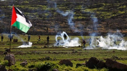 Protestat e palestinezëve kundër kolonive sioniste