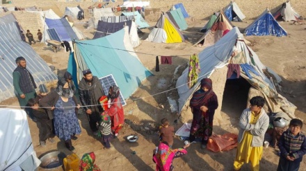  آوارگی ۳۸۰ هزار افغان در سال ۲۰۲۰ بر اثر جنگ 