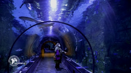 (FOTO) Acquario di Anzali, il più grande dell'Iran - 1