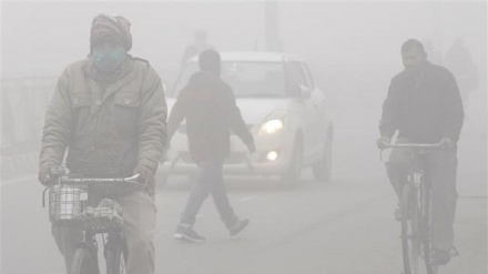  Dense fog reduces visibility in northern India 