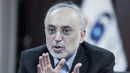 Head of Atomic Energy Organization of Iran: We will respond if IAEA Boards adopts negative resolution