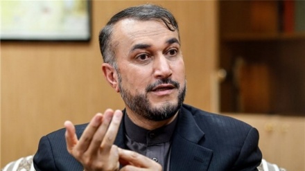 Amir-Abdolahian : Irán apoya firmemente seguridad de Irak
