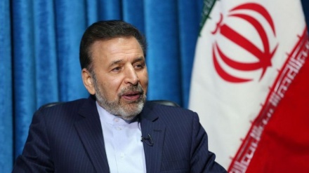 瓦尔基：三年经济之战中的抵抗是起源于八年战争的文化