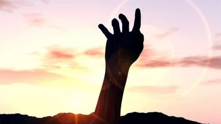 د پرتګال کورنۍ پردې مړې خاورو ته سپارلی و