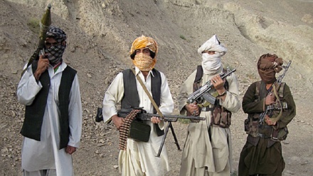 کشته شدن 64 عضو گروه طالبان در افغانستان