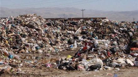  تولید روزانه حدود 2500 تن زباله در کابل