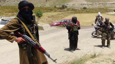 کشته شدن دو غیرنظامی از سوی طالبان در ولسوالی خواجه غار