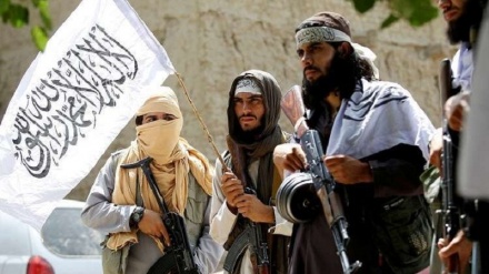 واکنش طالبان به خروج نیروهای نیوزیلند از افغانستان 