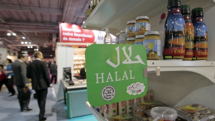 Myslimanët e Francës protestojnë kundër ndalimit të therjes hallall të hallall