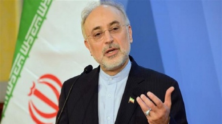 صالحی: فتوای رهبر معظم انقلاب در حرمت بمب اتم، حرف نهایی ایران است