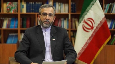 Kamati ya pamoja ya Iran na Iraq yachunguza mauaji ya kigaidi ya Soleimani