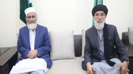 اوضاع افغانستان محور رایزنی «حکمتیار» با رهبر جماعت اسلامی پاکستان