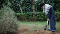 ハーメネイー師が苗木を植樹