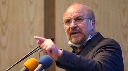 Balance of power in Palestine, region in favor of resistance, calls for referendum: Qalibaf