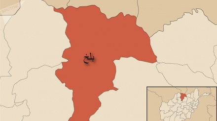 صدها خانواده تحت پوشش جوانان رضا کار ولایت بلخ+صوت