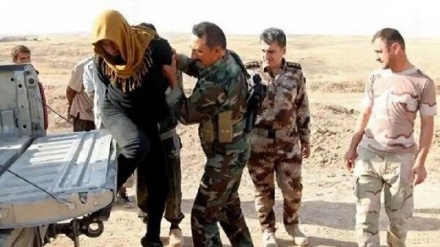 بازداشت سرکرده داعش در غرب عراق