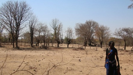 Malawi yatangaza janga la ukame huku El Nino ikileta njaa kusini mwa Afrika