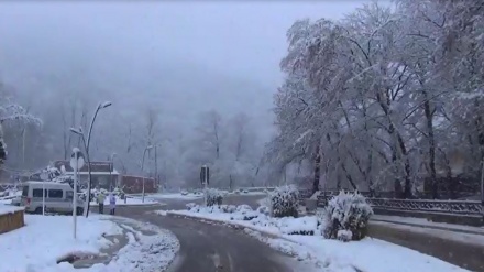 Salju Melipatgandakan Keindahan Taman Naharkhoran