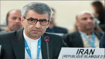 Nevoja që Kombet e Bashkuara dhe organizatat e të drejtave të njeriut të ndjekin me vendosmëri krimet e qeverisë amerikane