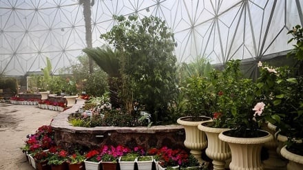 Keindahan Taman Bunga di Isfahan (2)