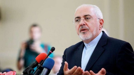 扎里夫就欧洲和美国在理事会的不当行为发出警告