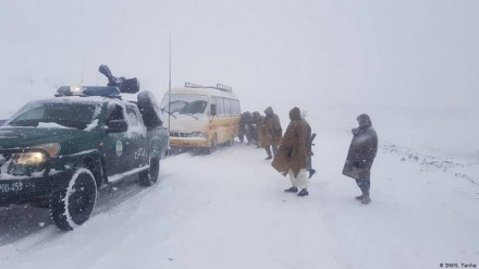 مسدود شدن راه های مواصلاتی 5ولایت افغانستان با بارش برف