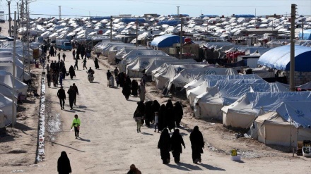 ¡Alerta!: Campo con 20 000 terroristas de Daesh amenaza la región