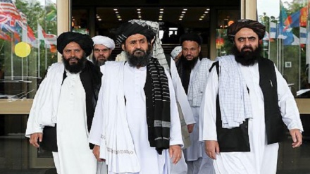 تردید گروه طالبان درباره طرح پیشنهادی آمریکا برای صلح