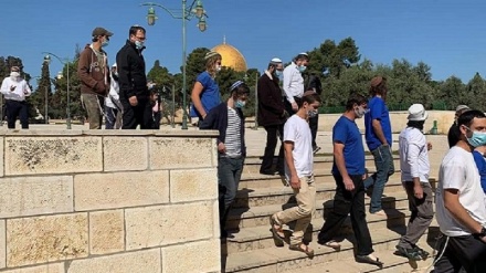 Coloni sionisti invadono l'area intorno ad Al-Aqsa