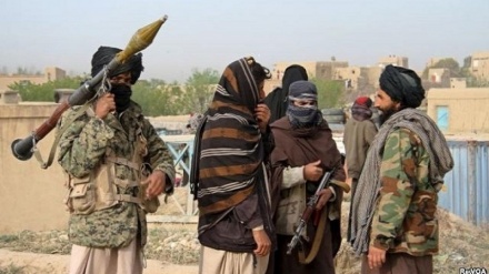 کشته شدن 6 تن از طالبان مسلح در ولایت لوگر