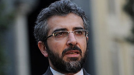 ईरान ने इराक़ की सक्रिय भूमिका की तारीफ़ की