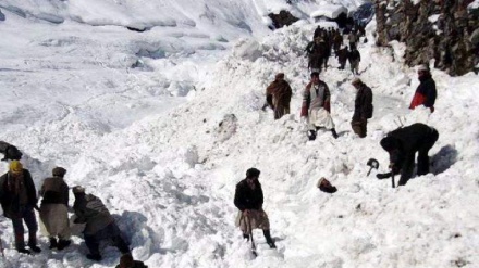 塔利班25名成员在一场雪崩中丧生