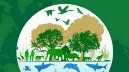 Giornata Mondiale della Fauna: habitat e foreste, bene da tutelare