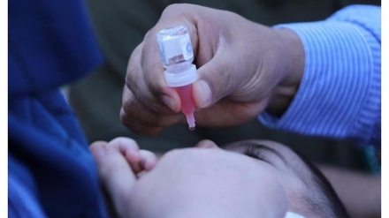 کشته‌شدن سه کارمند کارزار واکسین پولیو در شهر جلال آباد+ صوت