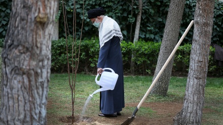 イラン最高指導者が２本の苗木を植樹