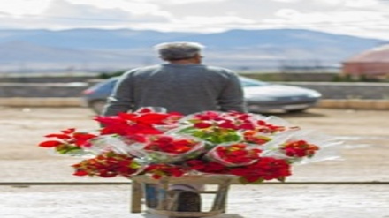 (FOTO) Mahallat, la 'capitale' dei fiori dell'Iran