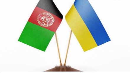 گسترش همکاری های اقتصادی میان افغانستان و اوکراین 